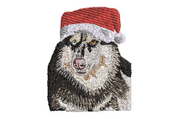 Siberian Husky in Santa Hat: A Designer’s Review